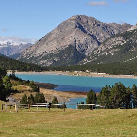 Вилла Chalet Bormio Stelvio Вальдидентро Экстерьер фото