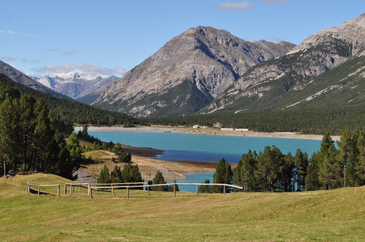 Вилла Chalet Bormio Stelvio Вальдидентро Экстерьер фото