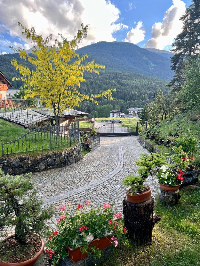 Вилла Chalet Bormio Stelvio Вальдидентро Экстерьер фото